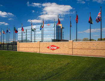 dow_250807_anteprima.jpg
